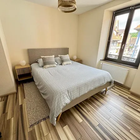 Au Coeur D - Plein Centre - 6 Voyageurs Obernai